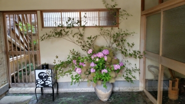 「花新」　（三重県桑名市）の花屋店舗写真4